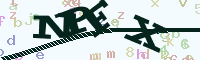 reload image