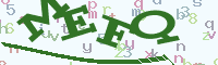 reload image