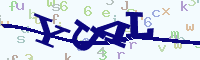 reload image