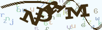 reload image