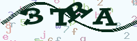 reload image