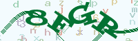 reload image