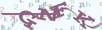 reload image