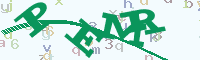 reload image