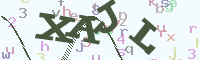 reload image