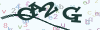 reload image