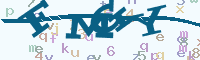 reload image