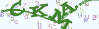 reload image