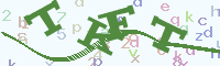 reload image