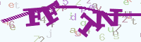 reload image