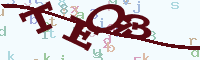 reload image