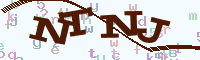 reload image