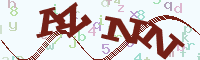 reload image