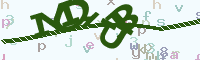 reload image