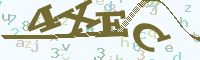 reload image