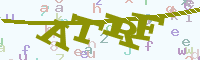 reload image