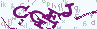 reload image