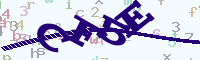 reload image
